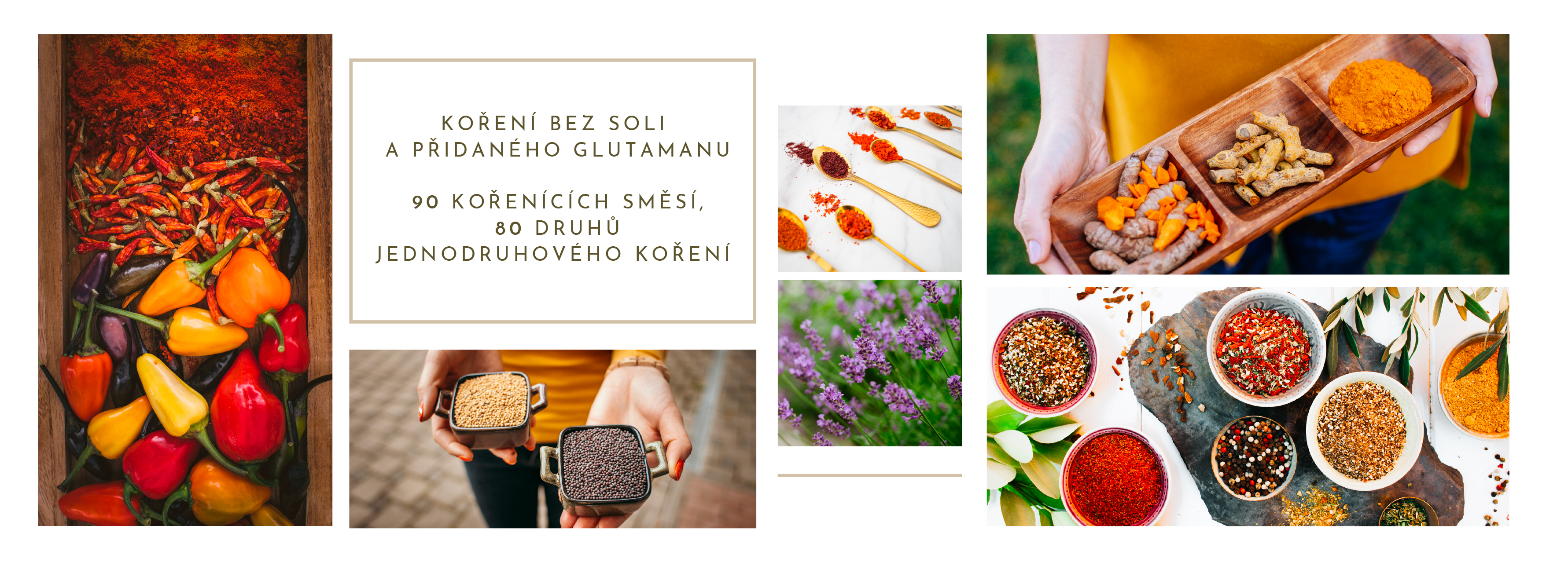 bez soli