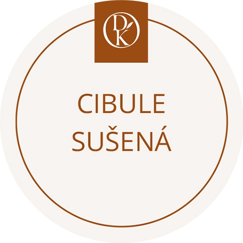 Cibule sušená