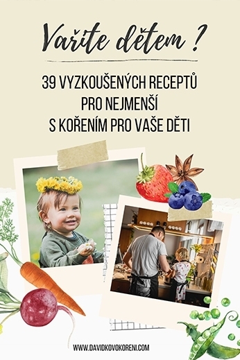 E-book Vaříme dětem