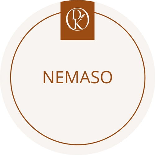 Nemaso